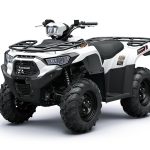 2025 KAWASAKI BRUTE FORCE 450