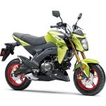 2026 Kawasaki Z125 Pro